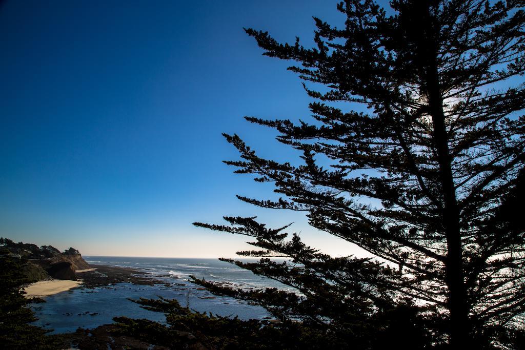 Seal Cove Inn Moss Beach Eksteriør billede