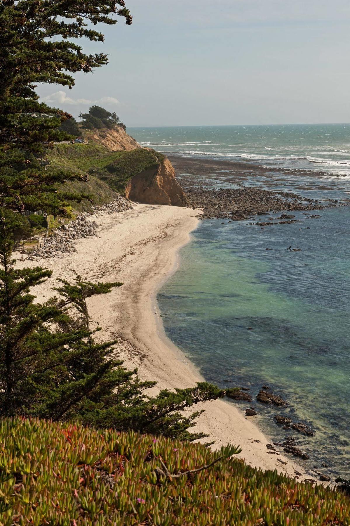 Seal Cove Inn Moss Beach Eksteriør billede
